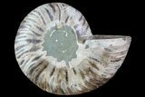 Agatized Ammonite Fossil (Half) - Madagascar #83822-1